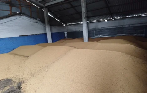 Соя ГМО на продажу