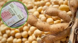 Купуємо СОЮ оптом по всій Україні