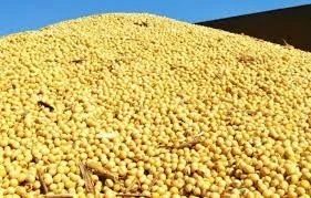 Куплю сою ГМО по всій Україні