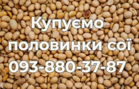 Закупаем половинки сои (оплата Ф1, Ф2)