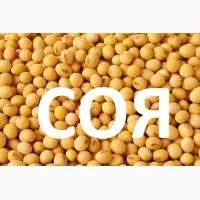 Купим сою. Возможен самовывоз по всей Украине