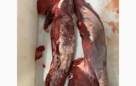 Продам Мясо говядины