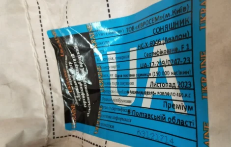 Продам семена классического подсолнечника Авалон 2 п.о
