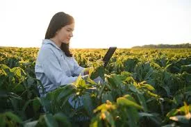 Купуємо СОЮ по всій Україні