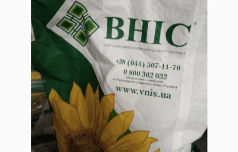 Продам насіння соняшнику Шенон
