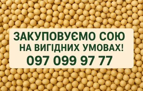 Закупівля сої на постійній основі з самовивозом