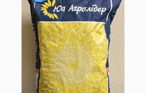 Насіння соняшнику НС Х 8002 (гібрид стійкий до гранстару)