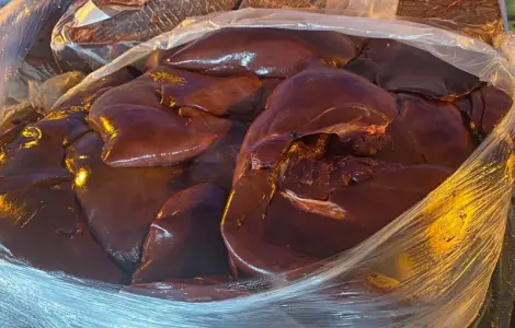 Печінка свиняча