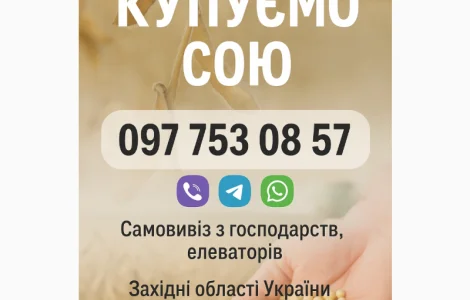Купуємо сою оптом
