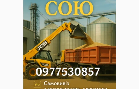 Купуємо сою оптом