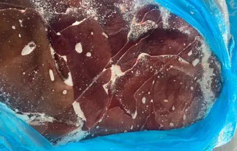 Продам печінку свину
