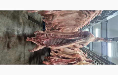 Маём на продажу полутушу свинины