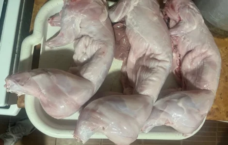 Домашнее мясо кролика на продажу