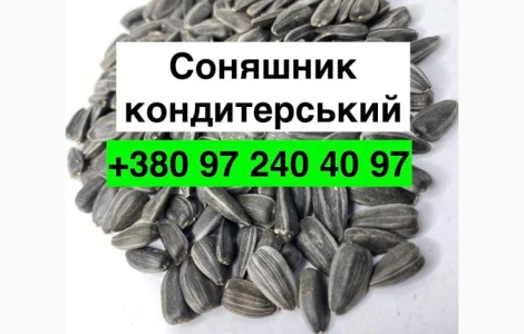 Продам насіння Соняшника кондитерського