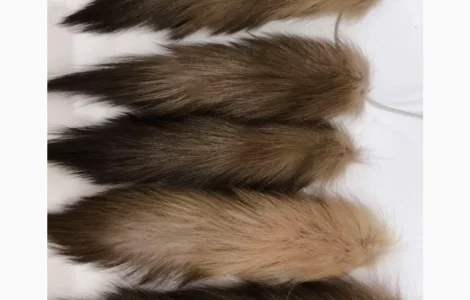 Продажа хвостов куницы, тысячи штук в наличии