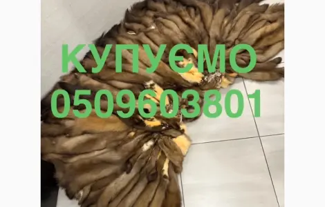 Покупаем по хороших ценах куницу шкуры бобра