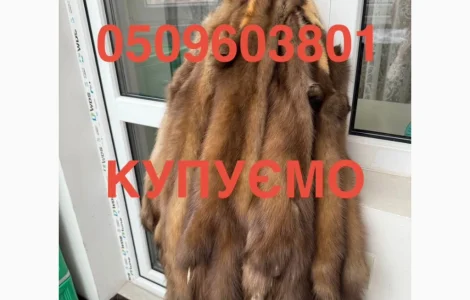 Куплю шкурки куницы, бобра и видры