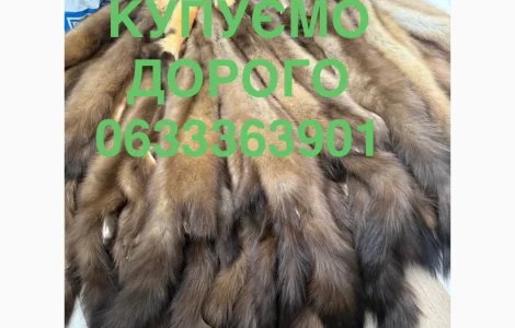 Закупаем шкурки куницы, бобра, кролика и зайца