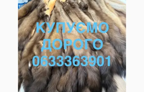 Покупаем мех куницы бобра кроля зайца выдры