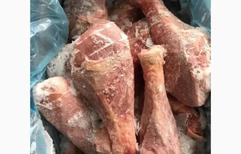 Голень индюка