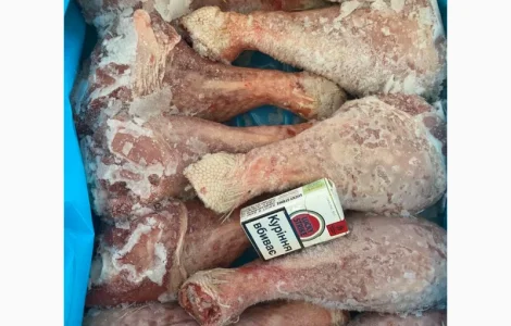 Голень индюшиная