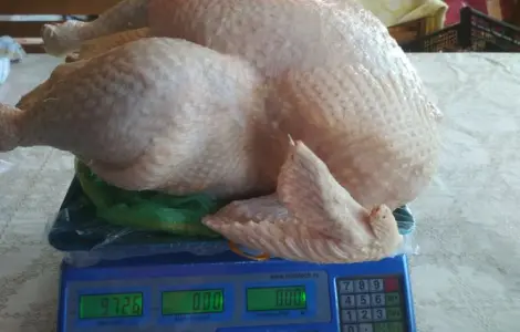 Продам мясо домашней индейки