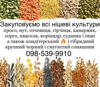 Купуємо кондитерський соняшник а також КРУПНОГО розміру гібридний смугастий та чорний