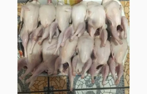 Продается тушка перепелки