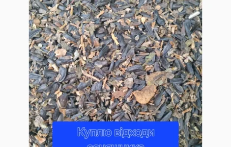 Купимо відходи соняшнику