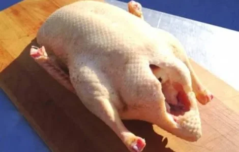 Пропонується жива качка на постійній основі