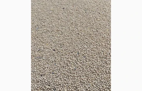 Купую сою ГМО та НЕ ГМО