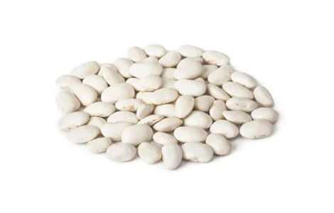 Покупаем фасоль белую мелкую