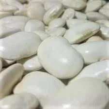 Продаем семена фасоли с доставкой по Украине