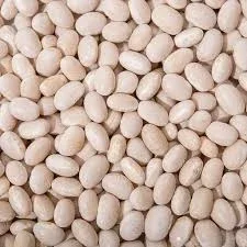 Продаємо насіння квасолі з гарантією викупу врожаю