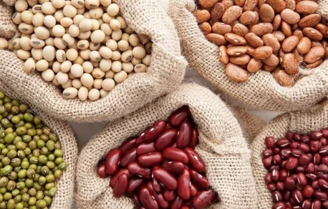 Сортова квасоля. Ліма