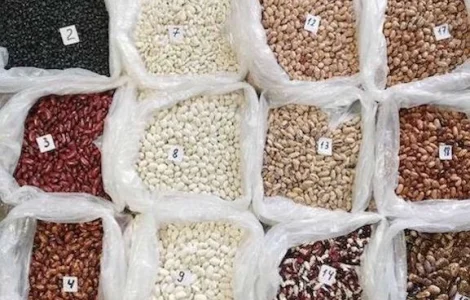 Квасоля на продаж. 20 сортів квасолі в асортимені