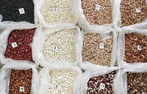 Оптовий продаж квасолі з доставкою