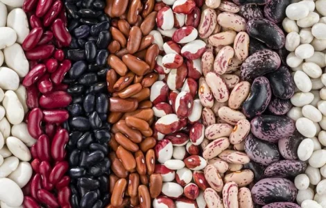 Продаем семена фасоли разных сортов