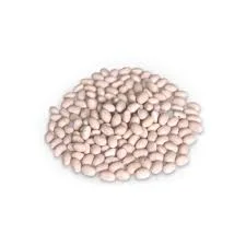 Покупаем оптом разные сорта фасоли для консервирования