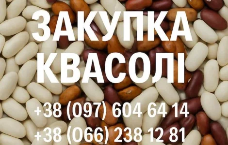 Покупаем фасоль для нужд предприятия