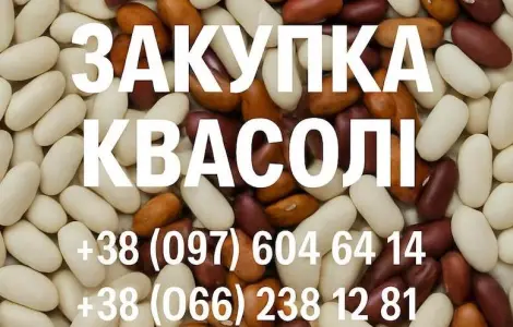 Купаем фасоль для нужд предприятия