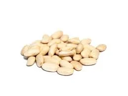 Закуповуємо оптом різні сорти квасолі для консервування