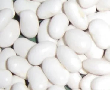 Покупаем белую и цветную фасоль на переработку