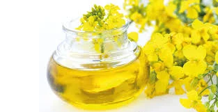 Закупаємо Олійні (Ріпак) По всій Україні