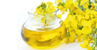 Закупаем оливковые культуры (рапс) по всей Украине
