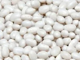 Закупка квасолі. Приймаємо різні сорти на переробку