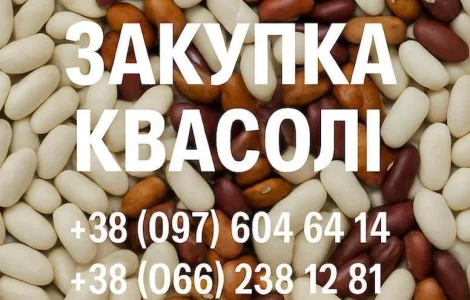 Покупаем фасоль. Заберем своим транспортом