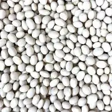 Продажа насіння квасолі. Посівний матеріал квасолі