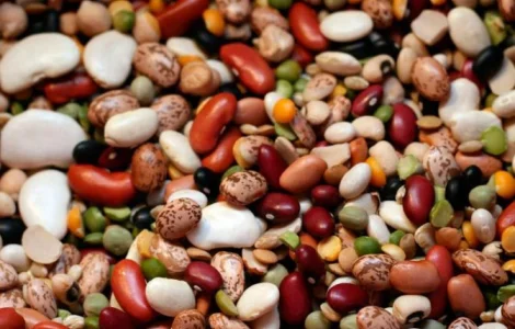 Покупаем фасоль переработку разных сортов ОПТ