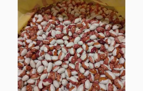 Куплю фасоль